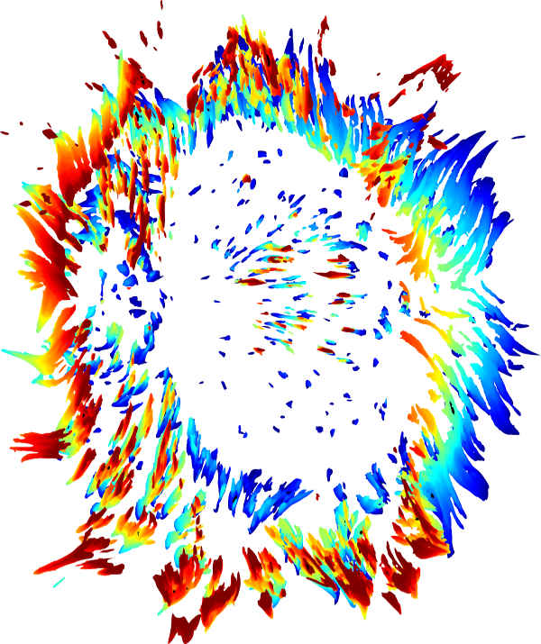 FA visualization